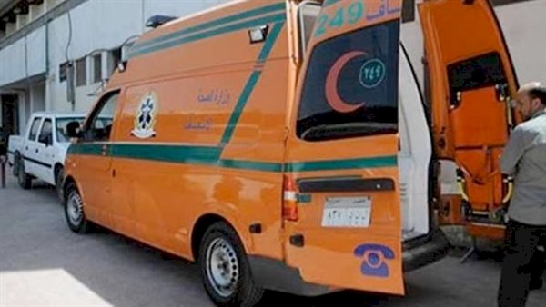 إصابة عامل إثر انهيار سور أثناء عمله في المنزلة بالدقهلية