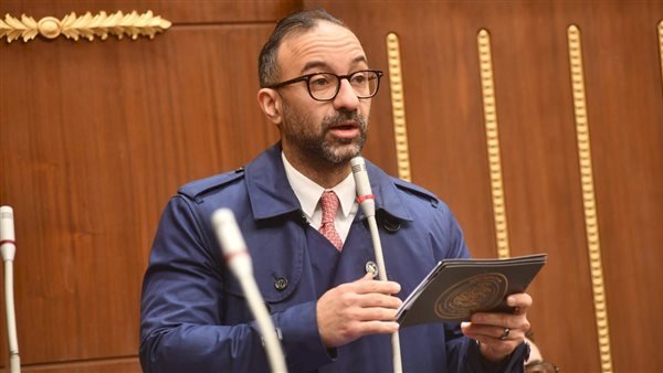 لحين صدور قانون الأسرة.. "الحمامصى" يطالب بزيادة الرؤية إلى 6 ساعات
