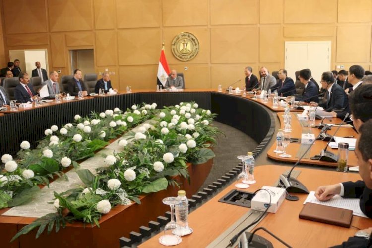 مباحثات مصرية صينية لتطوير الشبكة القومية ورفع قدرات الطاقة المتجددة والتخزين