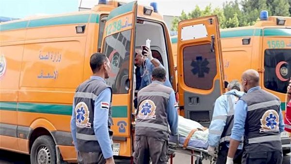 مصرع شخص وإصابة آخر في حادث تصادم بالدقهلية