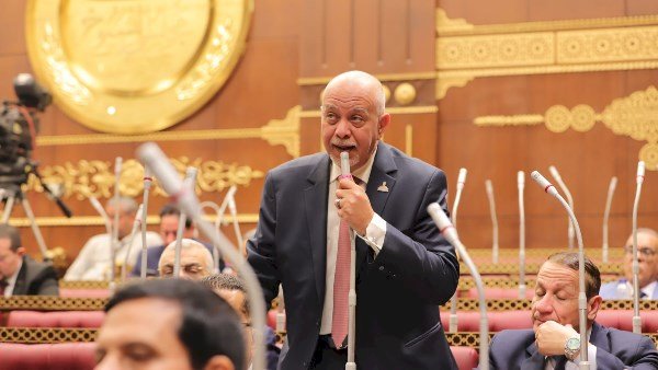 النائب حازم الجندى: القاهرة تقود معركة سياسية لحماية القضية الفلسطينية