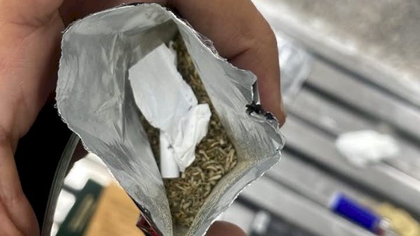 جمارك مطار الغردقة تحبط محاولة تهريب مخدر الفودو