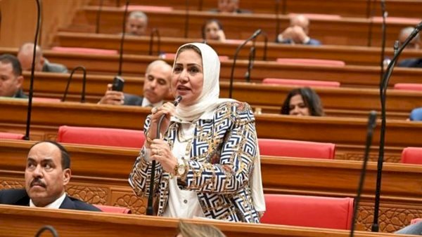 سحر صدقى: مشروعات قنا التنموية تعزز المشاركة فى مبادرة المشروعات الخضراء