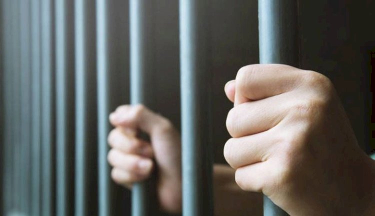 إحالة أوراق شقيقين متهمين بقتل شخص بسبب خصومة ثأرية فى سوهاج للمفتى