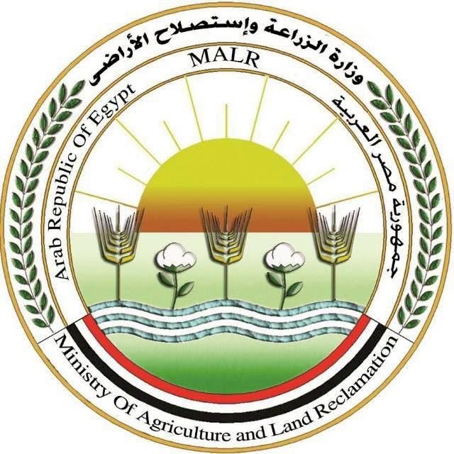 بـ 8 مليون جرعة .. "الزراعة" تختتم الحملة القومية لتحصين الماشية ضد الحمى القلاعية وحمى الوادي المتصدع