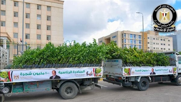 مجلس الوزراء: زراعة 200 ألف شجرة ضمن المرحلة الرابعة لمبادرة "100 مليون شجرة"
