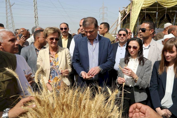 "الزراعة" في ذكرى 30 يونيو.. طفرة تاريخية ونقلة نوعية في قطاع الزراعة والأمن الغذائي