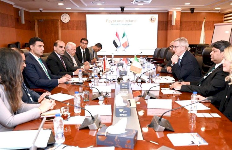 وزير الصناعة يبحث مع سفير أيرلندا لدى مصر وممثلي هيئة المشروعات الأيرلندية تعزيز التعاون الصناعي