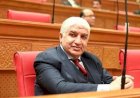 برلماني: إدارة ملف حيوانات الشارع تتطلب حلولًا علمية وتعاونًا بين جميع الجهات