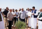 إنشاء مزرعة زيتون كبرى وقف خيري في مطروح