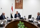 رئيس الوزراء يتابع مستجدات جهود إعادة هيكلة الشركات المملوكة للدولة