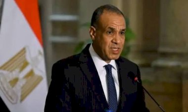 وزير الخارجية: مصر تكبدت خسائر بنحو 10.5 مليار دولار جراء تأثر الملاحة الدولية