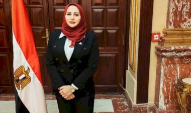 برلمانية: الأوكتاجون عقل استراتيجي يعزز جاهزية الدولة لمواجهة التحديات