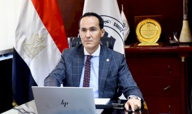 مصر الأولى إفريقيا والثانية عربيا في تدفقات الاستثمار الأجنبي المباشر