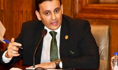 برلماني: توطين الصناعة وزيادة الصادرات طريق مصر لتعزيز قوتها الاقتصادية