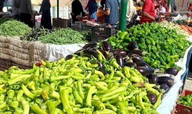 سعر الخضار والفاكهة اليوم الجمعة في الأسواق