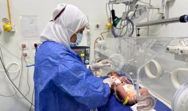 الهيئة العامة للرعاية الصحية تبرز خدمات أول مستشفى متخصص للأطفال وحديثي الولادة تابع لها في جنوب الصعيد