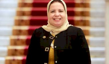نائبة الشعب الجمهوري: الملحق التفسيري لاتفاق مقر جامعة الدول العربية يعزز وضوح التطبيق ويؤكد مكانة مصر العربية