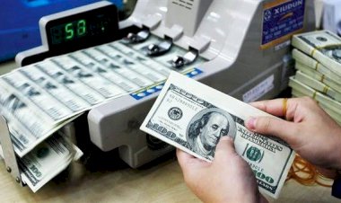 أسعار الدولار في مصر اليوم الخميس