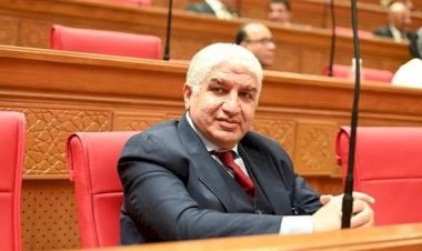 برلماني: إدارة ملف حيوانات الشارع تتطلب حلولًا علمية وتعاونًا بين جميع الجهات