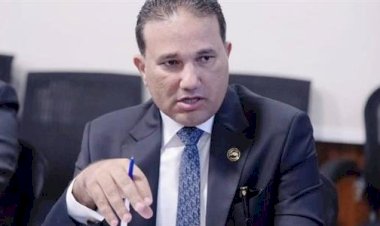 برلماني: مقترح «الخط الملاحي» و«مشروع الاستصلاح الزراعي» في تنزانيا تحول تاريخي في علاقات مصر بأفريقيا