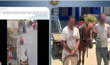 ضبط سائق عربة كارو للسير عكس الاتجاه والتعدى على شخص