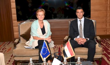 وزير الصناعة يبحث مع رئيسة بعثة الاتحاد الأوروبي لدى مصر سبل تعزيز التعاون المشترك