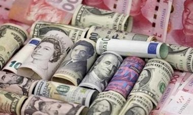 أسعار العملات في مصر اليوم الأحد