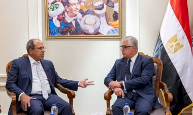 اقتصادية قناة السويس والجامعة البريطانية تبحثان تعزيز التعاون في البحث العلمي والابتكار
