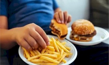 دراسة حديثة: الغذاء الصحي يعزز الذاكرة ويكشف علاقة مباشرة بين الأمعاء والدماغ