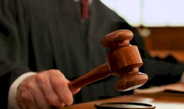 حجز متهم بإدارة كيان تعليمى للشهادات الدراسية المزورة للتحريات
