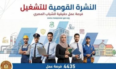 فرص للشباب.. وزارة العمل تطرح 1275 وظيفة جديدة بالقطاع الخاص خلال أغسطس