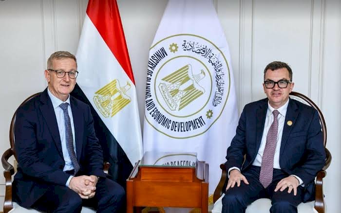 وزير التخطيط يبحث مع سفير أيرلندا تعزيز التعاون في مجالات "الاقتصاد الأخضر" والتكنولوجيا