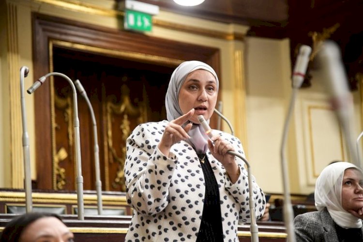النائبة إيمان الألفي تطالب بنقل الولاية على المال للأم بعد وفاة الأب