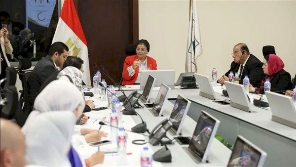 نائب وزير الصحة تُعلن إطلاق المنصة الإلكترونية للخطة التنفيذية الثانية للسكان والتنمية حتى 2027