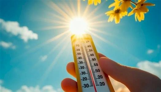 الطقس غدا.. أجواء حارة وارتفاع الرطوبة والمحسوسة بالقاهرة 37 درجة
