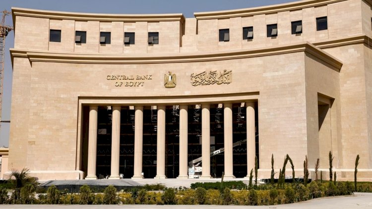 43.1 مليار دولار حصيلة تحويلات المصريين العاملين بالخارج
