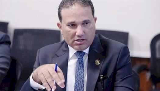 برلماني: مقترح «الخط الملاحي» و«مشروع الاستصلاح الزراعي» في تنزانيا تحول تاريخي في علاقات مصر بأفريقيا