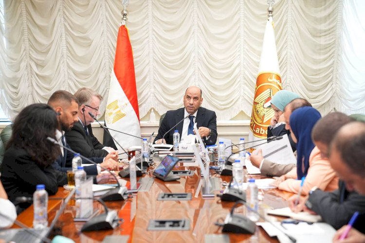 وزير العمل ومنظمة العمل الدولية يتفقان على خارطة طريق لإطلاق البرنامج الوطني للعمل اللائق في مصر