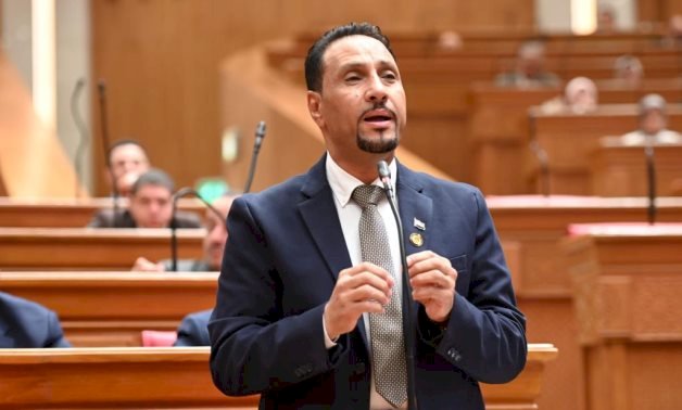 النائب جرجس لاوندى: ثورة 23 يوليو محطة فارقة فى بناء الدولة الوطنية الحديثة  