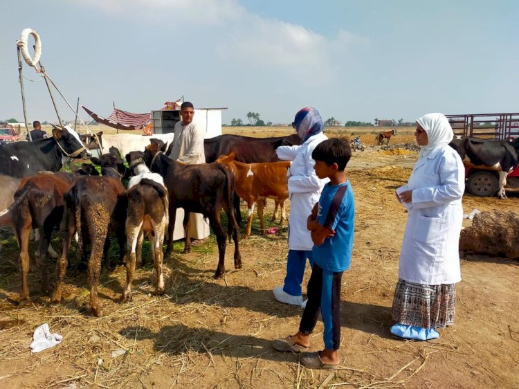 الزراعة" تكثف الترصد الوبائي لحماية الثروة الحيوانية: أكثر من 21 ألف زيارة ميدانية خلال يونيو