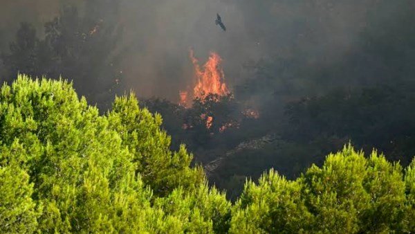 فرنسا تطلب دعما جويا من سويسرا لمواجهة أسوأ حرائق الغابات منذ عقود