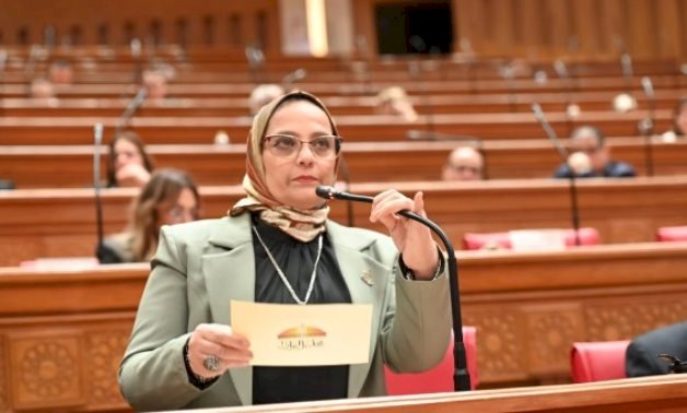 برلمانية: تنظيم "السوشيال ميديا" ضرورة لحماية المجتمع