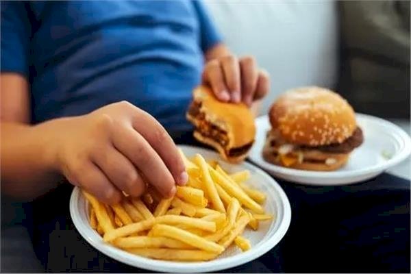 دراسة حديثة: الغذاء الصحي يعزز الذاكرة ويكشف علاقة مباشرة بين الأمعاء والدماغ
