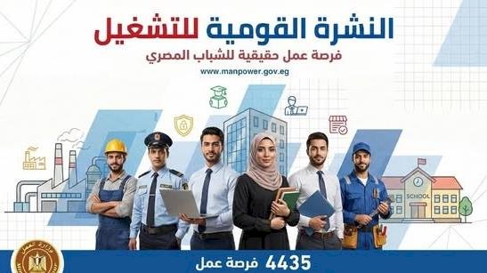 فرص للشباب.. وزارة العمل تطرح 1275 وظيفة جديدة بالقطاع الخاص خلال أغسطس