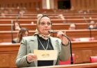 نائبة: نجاح اتفاق غزة لوقف الحرب انتصار جديد للدبلوماسية المصرية