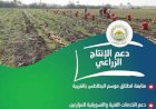 "الزراعة" تستعرض جهودها في دعم المزارعين وتحقيق الأمن الغذائي خلال الأسبوع الأول من أغسطس الجاري