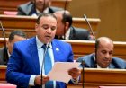 برلماني: حماية دخل المزارع أولوية.. والتسويق العادل مفتاح استقرار الزراعة