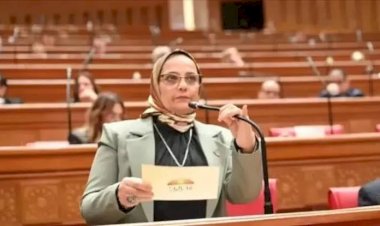 نائبة: نجاح اتفاق غزة لوقف الحرب انتصار جديد للدبلوماسية المصرية