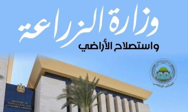 «الزراعة»: فحص أكثر من 24 ألف عينة غذائية وإجراء 72 ألف تحليل لمتبقيات المبيدات خلال يوليو